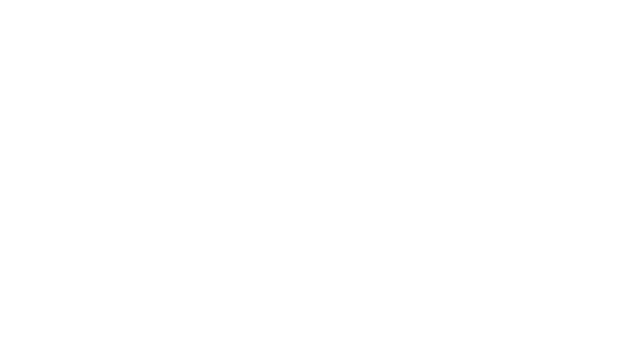Solver Logo White